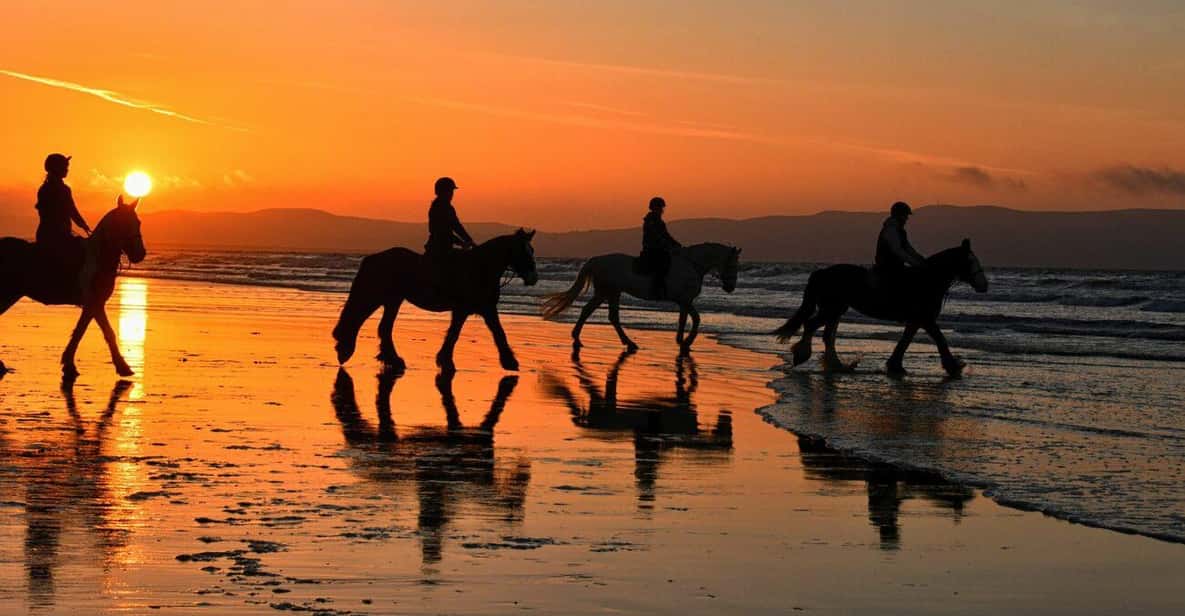 Agadir and Taghazout: Morning Horse Ride on The Beach - Price and Value: Is $45 Really Fair for a 90-Minute Beach Ride?