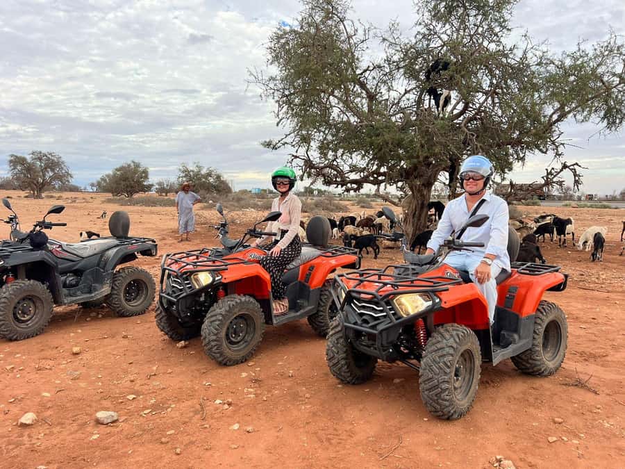 Agadir: ATV Quad Biking and Goats On Argan Trees with Tea - The Berber tent tea stop and the goats in argan trees