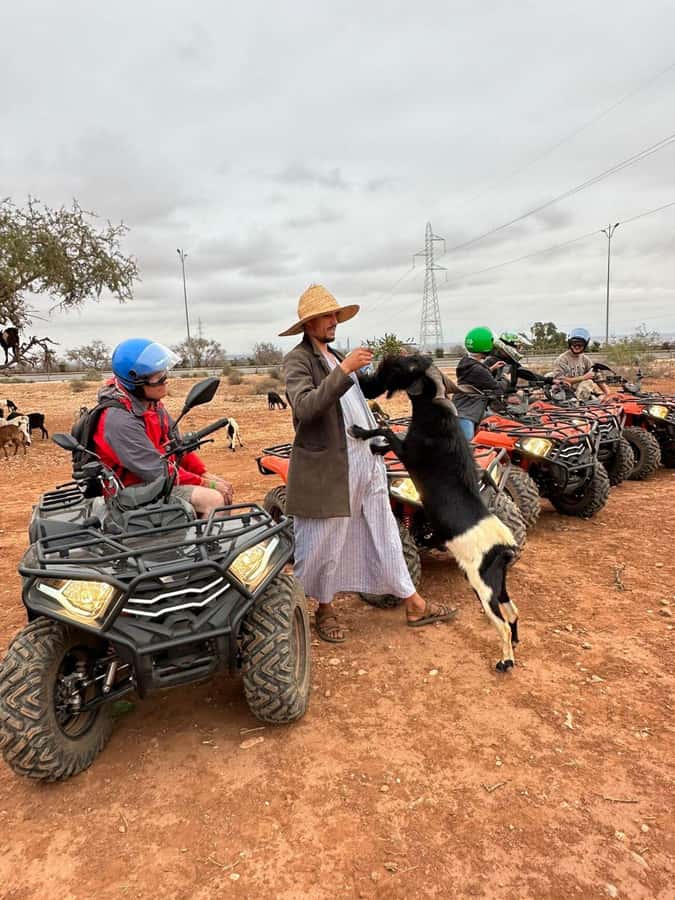 Agadir: ATV Quad Biking and Goats On Argan Trees with Tea - The quad biking portion: trial ride, then 2 hours on rugged terrain