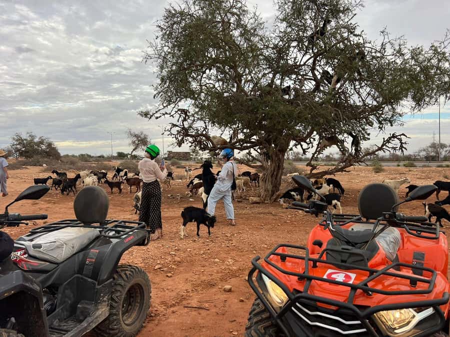 Agadir: ATV Quad Biking and Goats On Argan Trees with Tea - Dust factor: what to wear and how to keep your day enjoyable