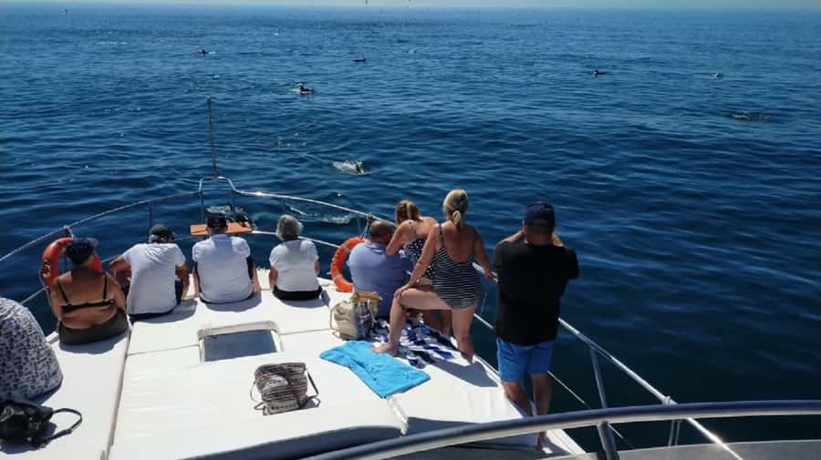 Agadir: Boat Trip with Fishing, Swimming, and BBQ Lunch - Comfort, Sea Conditions, and Who This Trip Works Best For