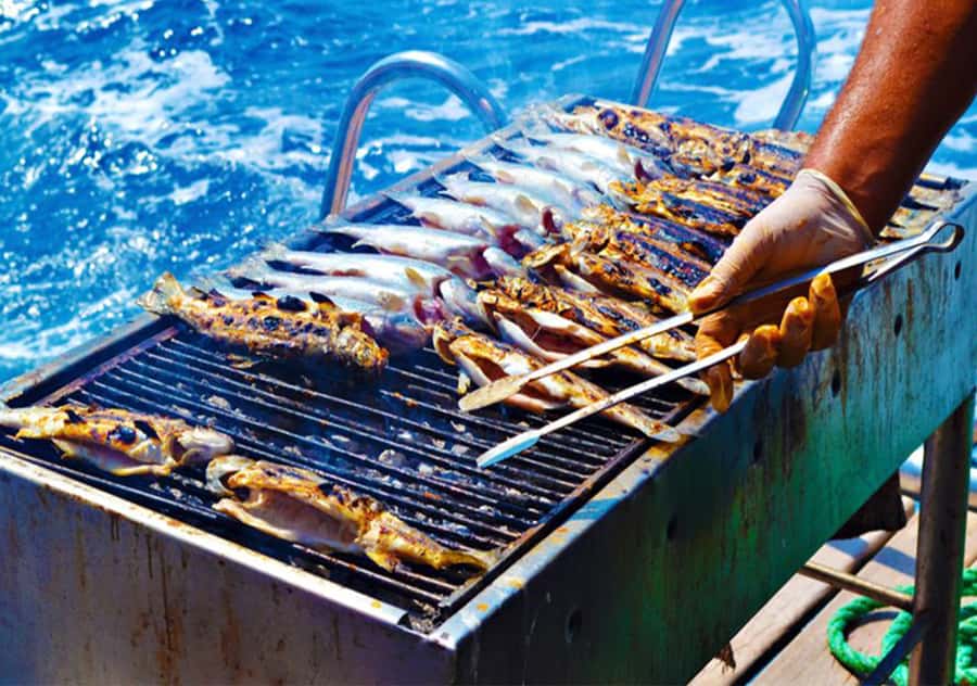 Agadir: Boat Trip with Fishing, Swimming, and BBQ Lunch - Price and Value: Is About $56 Worth 5 Hours on the Water?