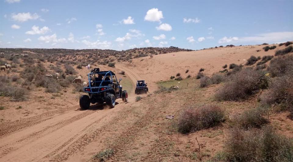 Agadir: Buggy Safari Adventure - What to Wear and Bring for a Dusty Morning