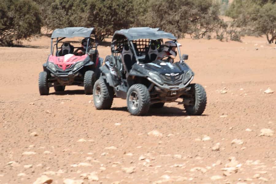 Agadir: Buggy Safari with Mint Tea & Free Agadir Pick-Up - Key takeaways before you book