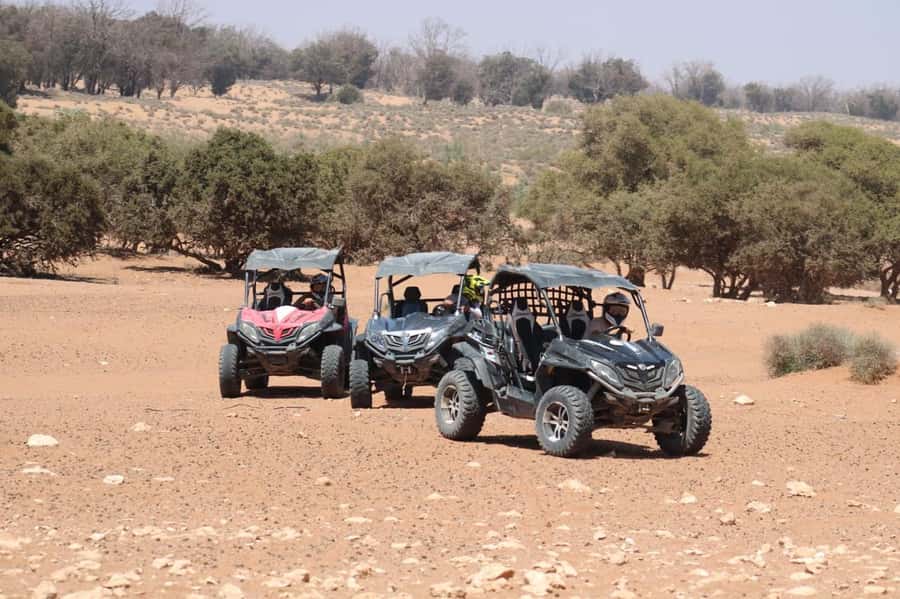 Agadir: Buggy Safari with Mint Tea & Free Agadir Pick-Up - Gear, briefing, and group size: the part that sets the tone
