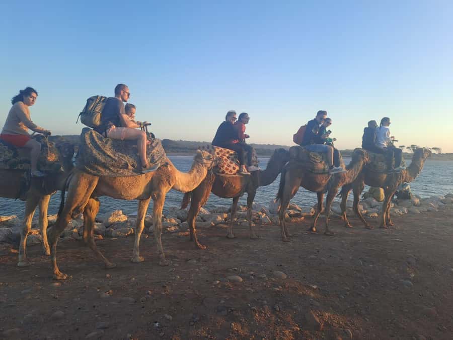 Agadir: Camel or Horse Ride + BBQ & Transfer Sunset Optional - Photo Stops, Flamingos, and the Best Way to Use the Sunset Window