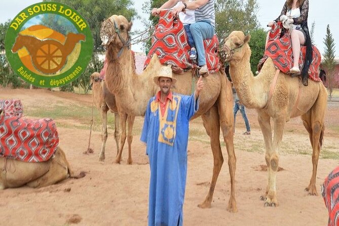 Agadir Camel Ride Experience - Key things to know before you ride
