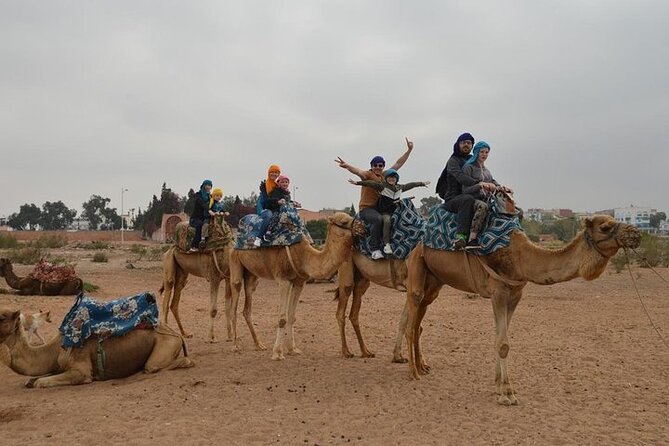 Agadir Camel Ride Experience - Camel basics: your briefing, comfort, and what to wear