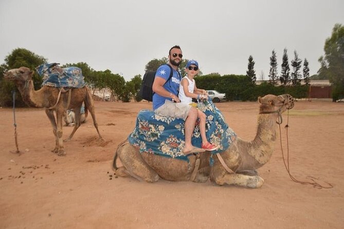 Agadir Camel Ride Experience - Price and value: is $42.97 worth a 2-hour camel trek?