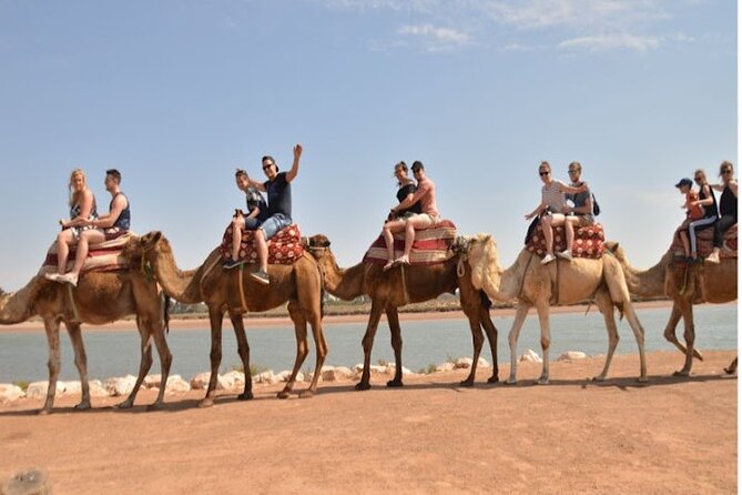 Agadir Camel Ride Experience - Who should book this camel ride around Agadir