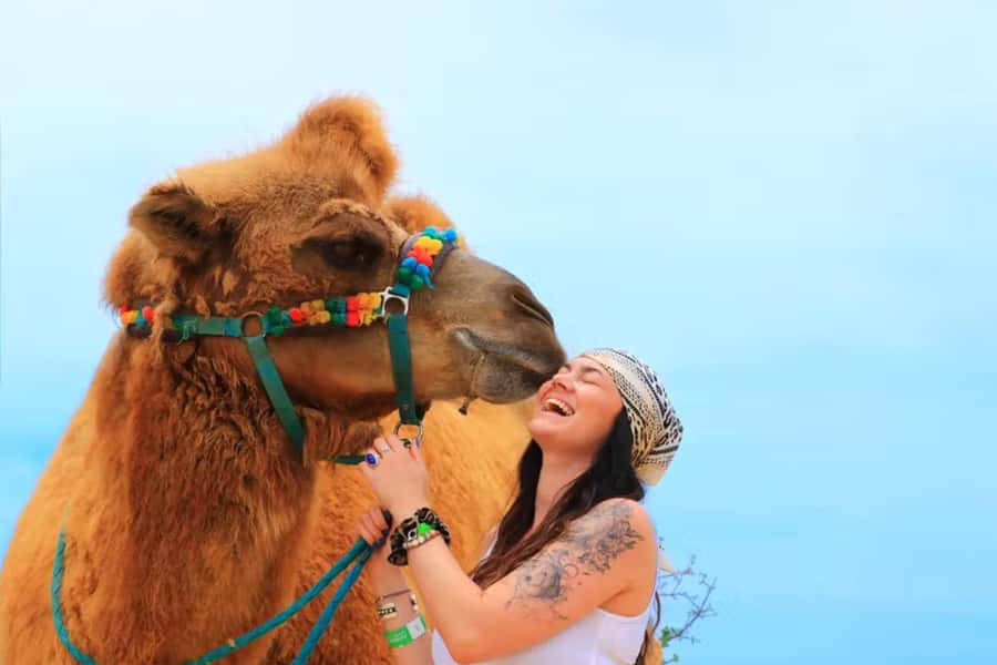 Agadir: Camel Ride Experience With Dinner Option - Getting Oriented: Pickup in Agadir and What 2 Hours Really Means