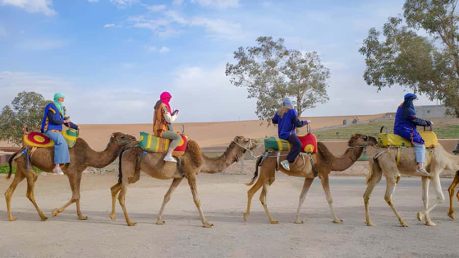 Agadir: Camel Ride Experience With Dinner Option - The Camel Ride Through Eucalyptus and Along the Souss River