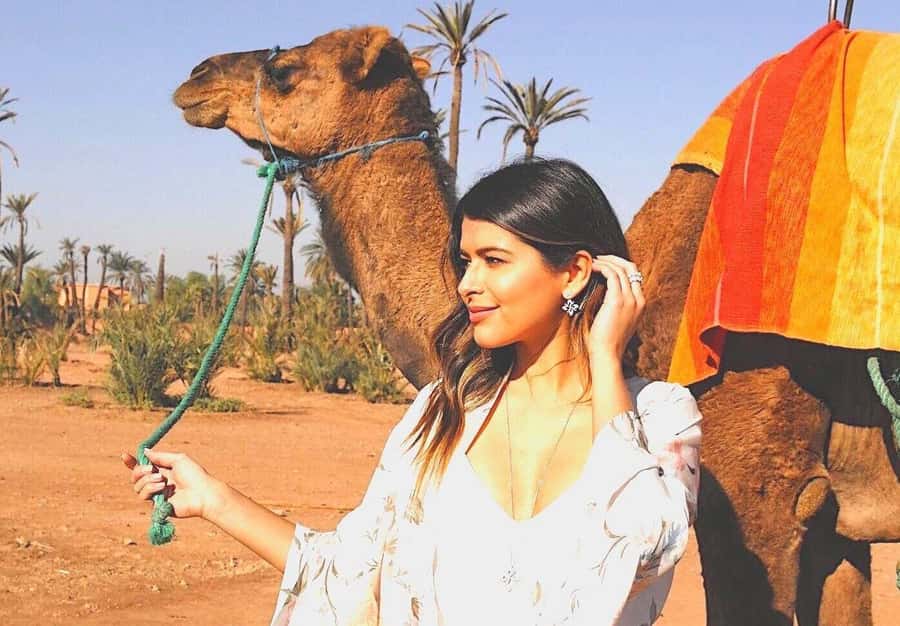 Agadir: Camel Ride Experience With Dinner Option - Wildlife Chances Near Flamingo Beach and Migrating Bird Season
