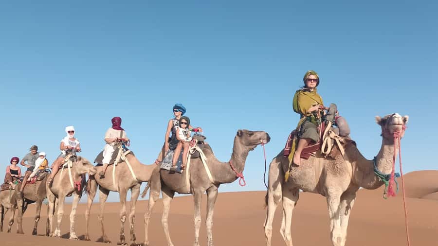 Agadir: Camel Ride Experience With Dinner Option - Price and Value: Is $23 a Good Deal?