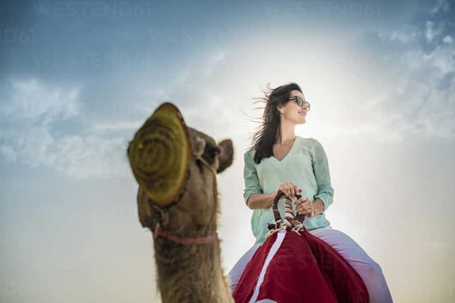 Agadir: Camel Ride Experience With Dinner Option - Practical Tips So You Enjoy It (Not Just Survive It)