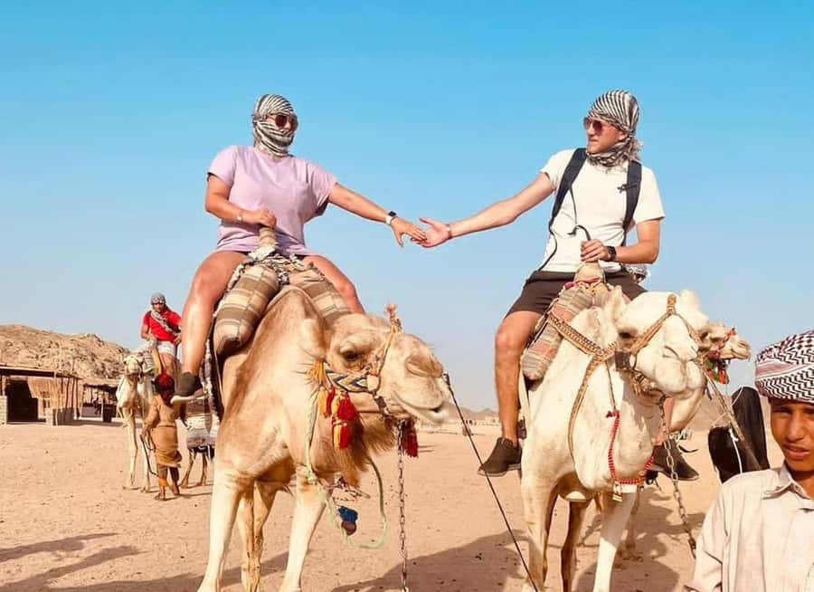 Agadir: Camel Ride Experience With Dinner Option - The Ranch Setup: Starting Near the King’s Palace Area