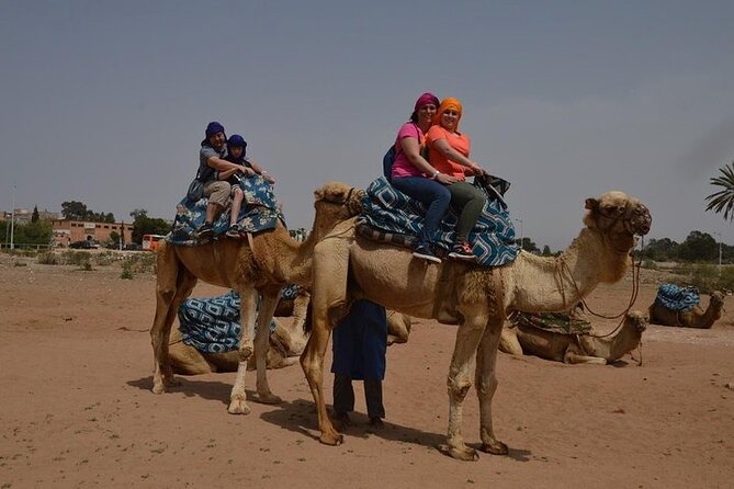 Agadir Camel Ride Experience - Getting from Agadir to the ranch: pickup, timing, and what 10 minutes buys you