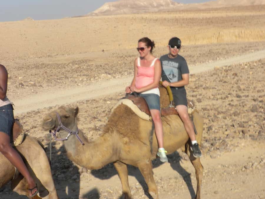 Agadir Camel Ride Flamingo River & BBQ Dinner - Key Things to Know Before You Go