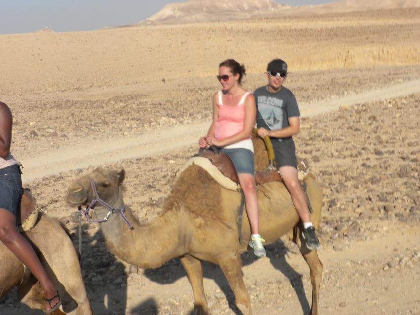 Agadir Camel Ride Flamingo River & BBQ Dinner - Should You Book This Agadir Camel Ride With Flamingo River and BBQ?