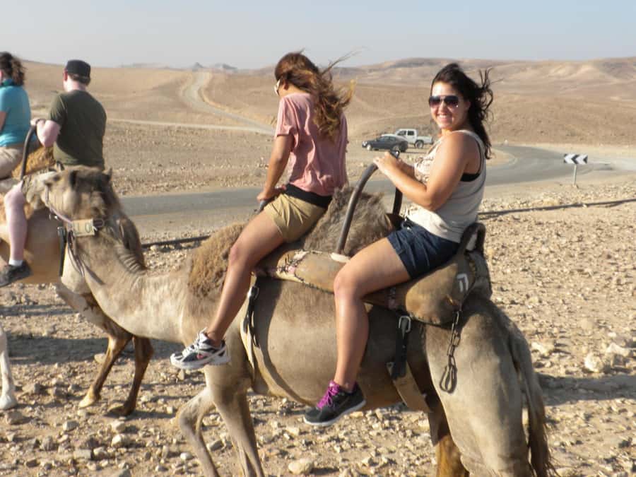 Agadir Camel Ride Flamingo River & BBQ Dinner - Camel, Birds, and a Breather From Agadir’s Pace