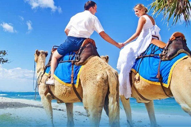 Agadir Camel Ride with BBQ and Couscous - Camel Ride Through Eucalyptus and the Souss Massa River