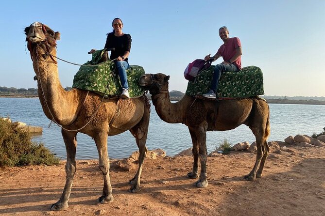 Agadir Camel Ride with BBQ and Couscous - Price at $18.70: Why This Feels Like Decent Value