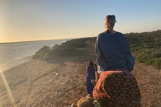 Agadir Camel Ride with BBQ and Couscous - Who Should Book This Camel Ride With BBQ (and Who Might Pass)