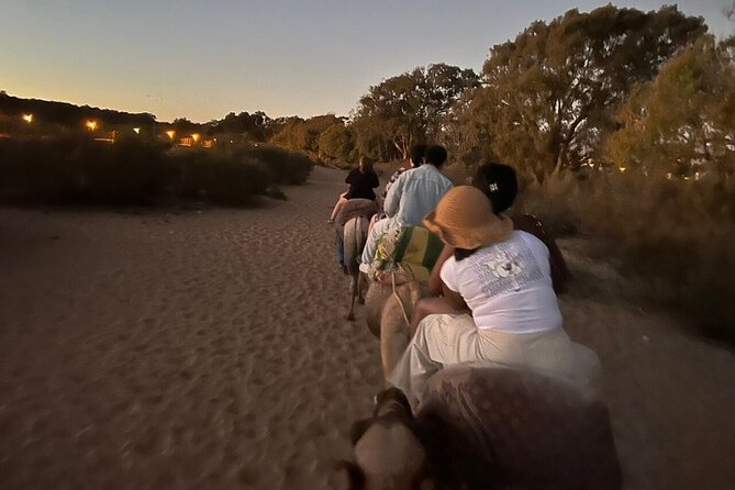 Agadir Camel Ride with BBQ and Couscous - Berber House BBQ and Couscous: What Comes After the Ride
