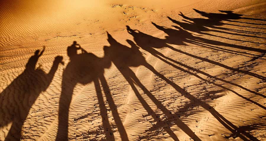 Agadir: Camel Ride With Tea - Getting From Agadir to the Ranch by the King’s Palace