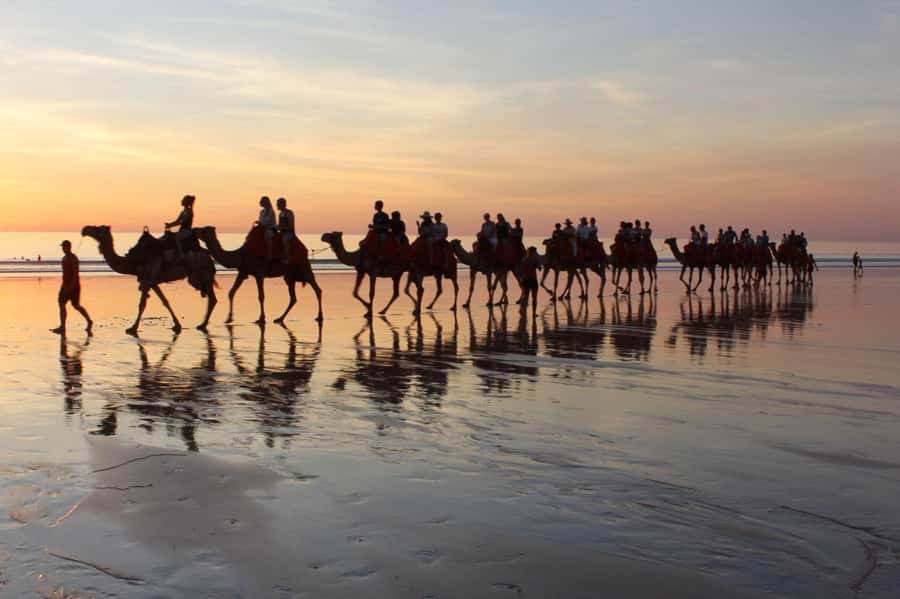 Agadir: Camel Ride With Tea - Choosing Your Camel and Learning the Pace