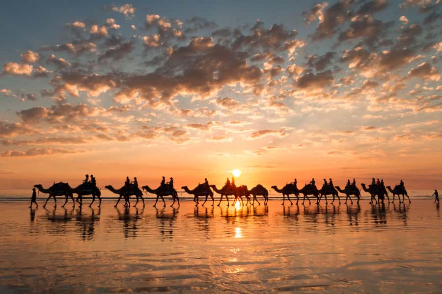 Agadir: Camel Ride With Tea - Along the Souss River: Palace Area Views and Wildlife Odds