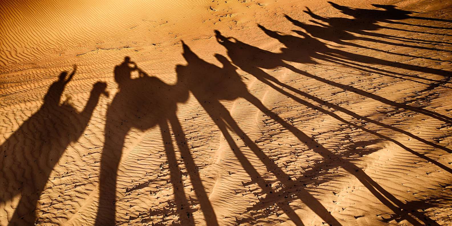 Agadir: Camel Ride With Tea - Mint Tea and Snacks: Small, Nice, and Worth Timing