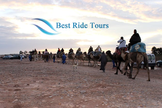 Agadir Camel Riding - Key highlights worth your time