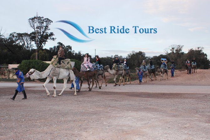 Agadir Camel Riding - The actual ride: dunes, eucalyptus, and Berber village scenery