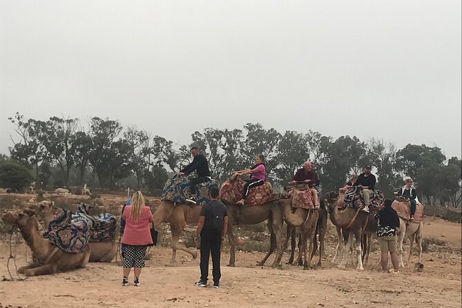 Agadir Camel Riding - Guides: the difference between a ride and a story
