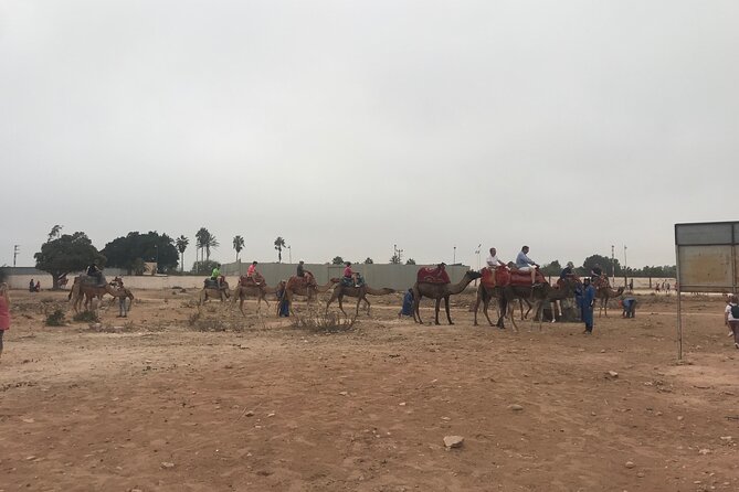 Agadir Camel Riding - Price and value: is $23.26 a fair deal?