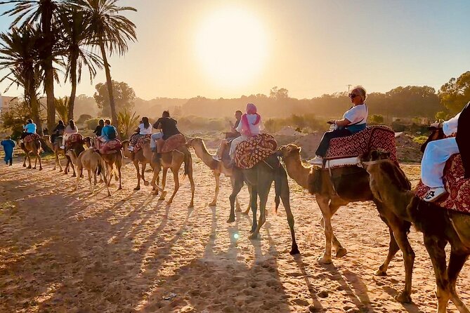 Agadir Camel Riding and flamingo river tour - Practical tips for a smoother ride in Agadir