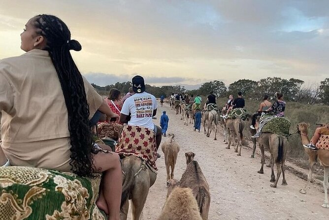 Agadir Camel Riding and flamingo river tour - Kasbat Souss mint tea break: a short stop with a real taste of the region