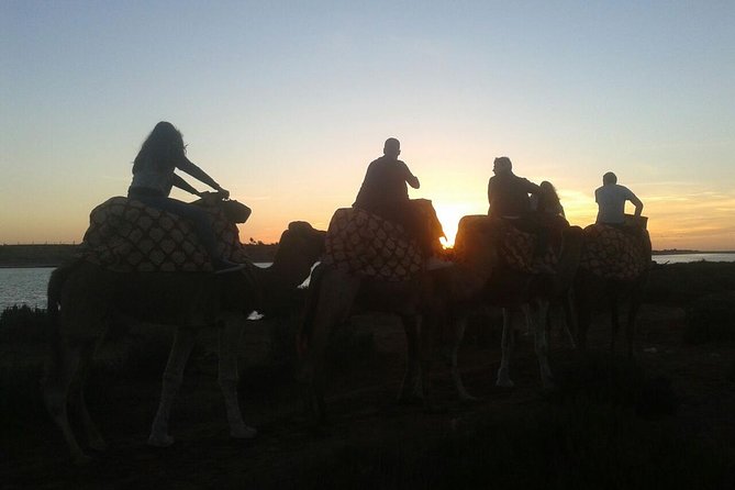 Agadir Camel Riding +Sunset and Dinner( barbecue) - One drawback to plan for