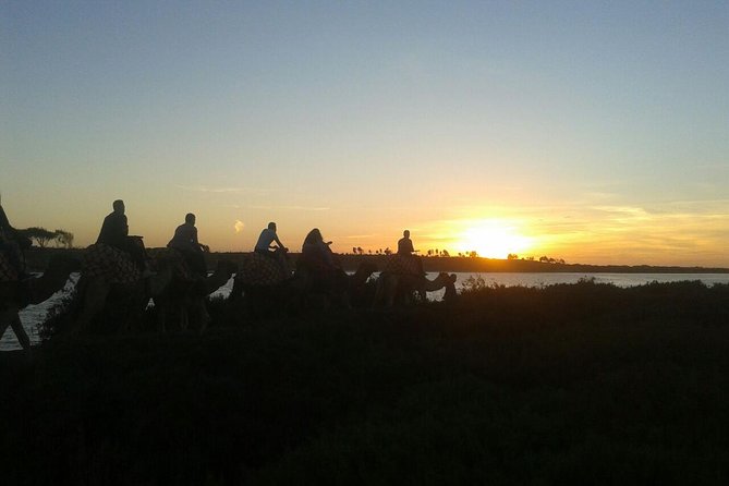Agadir Camel Riding +Sunset and Dinner( barbecue) - Sunset expectations: what you can control and what you can’t
