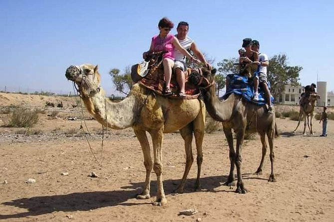 Agadir Camel Riding +Sunset and Dinner( barbecue) - The camel route: dunes, Oued Souss River, and photo stops