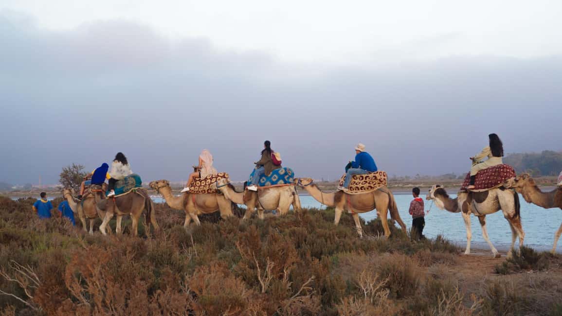 Agadir: Camel Riding Tour with Tea Drink - What to Ask Before You Go (So Your Day Matches Your Photos)