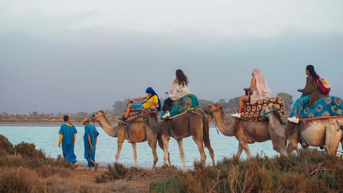 Agadir: Camel Riding Tour with Tea Drink - Hotel Pickup and the Start-Stop Rhythm