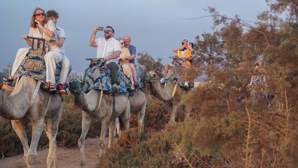 Agadir: Camel Riding Tour with Tea Drink - Where You Ride Matters: Agadir Nearby vs Desert Dunes