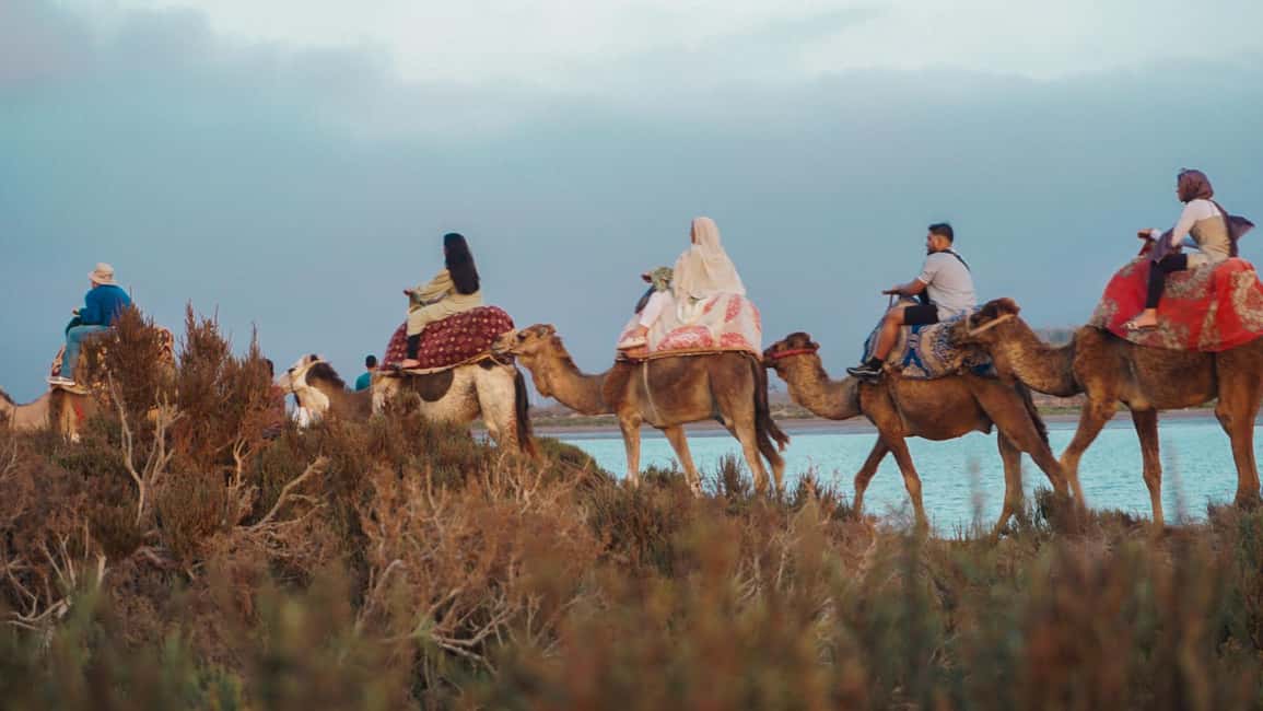 Agadir: Camel Riding Tour with Tea Drink - The Camel Ride Highlights: Photos, Motion, and a Moroccan Pace
