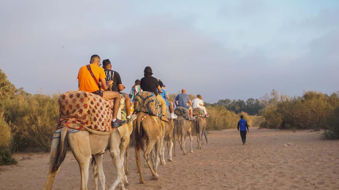 Agadir: Camel Riding Tour with Tea Drink - Mint Tea After the Ride: A Real Ending, Not Just a Stop