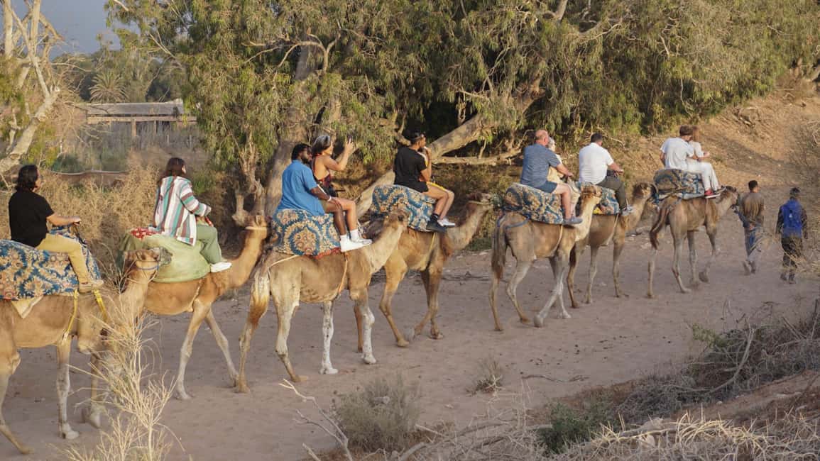 Agadir: Camel Riding Tour with Tea Drink - Dinner Option: When the Meal Changes the Value
