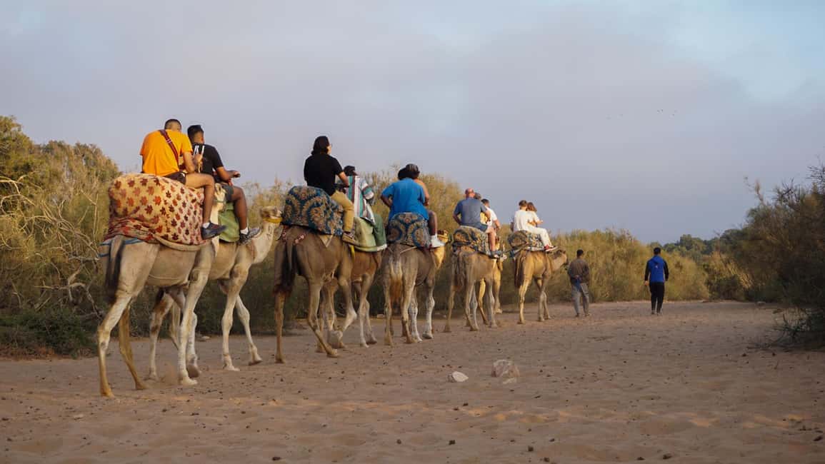 Agadir: Camel Riding Tour with Tea Drink - Price and Value: Is $22 Really a Good Deal?