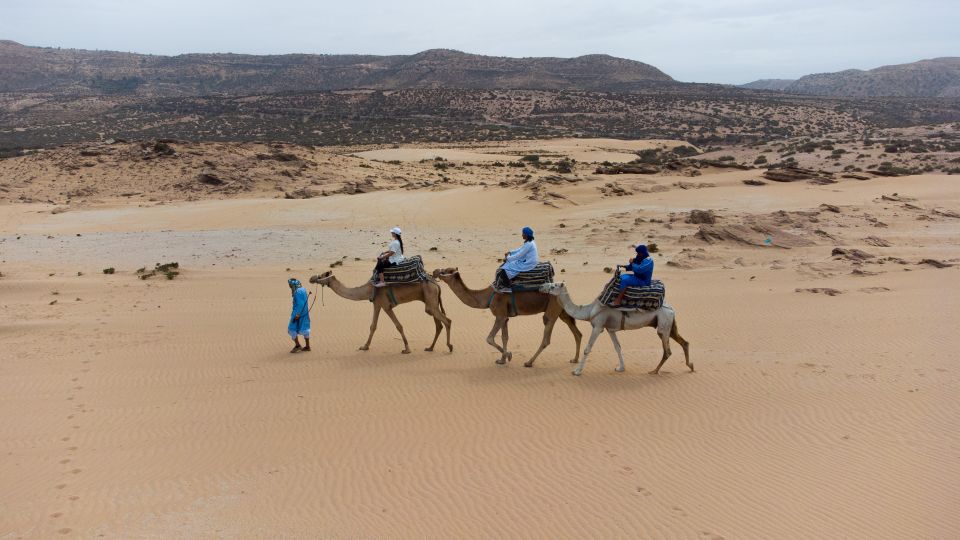 Agadir: Camel Riding Tour with Tea Drink - Best Fit: Who Should Book This Camel Ride