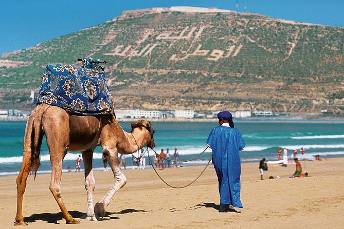 Agadir City Discovery in 3 Hours With Pick up and Drop off - Souk El Had d’Agadir: Shopping at the Region’s Biggest Market